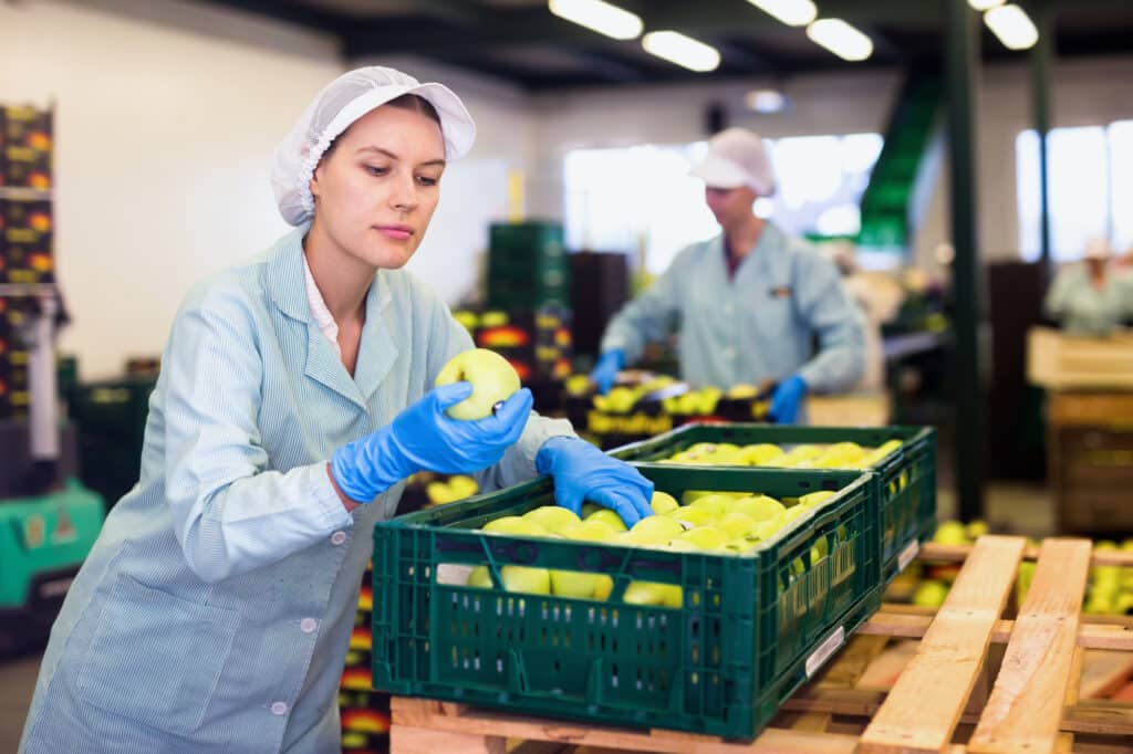 ¿En qué punto se realiza el control de calidad en la cadena de suministro de frutas y hortalizas frescas?