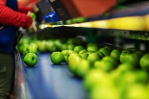 Where Does QC Take Place Across the Fresh Produce Supply Chain? | Wholesalers
