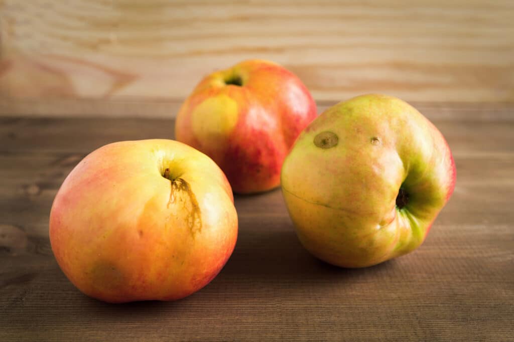 manzanas con defectos