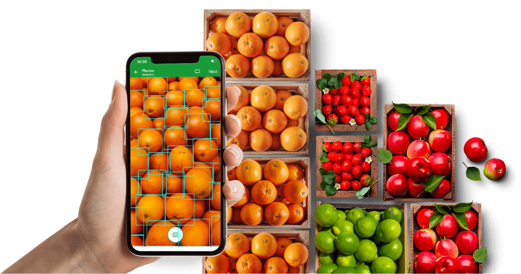 Fruit and Vegetable Fresh Produce Quality Control Software