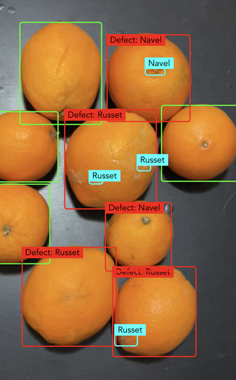 AI in Fresh Produce Quality Control — Beyond The Buzzwords 