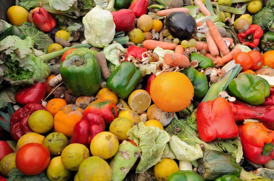 global waste problem | food waste
