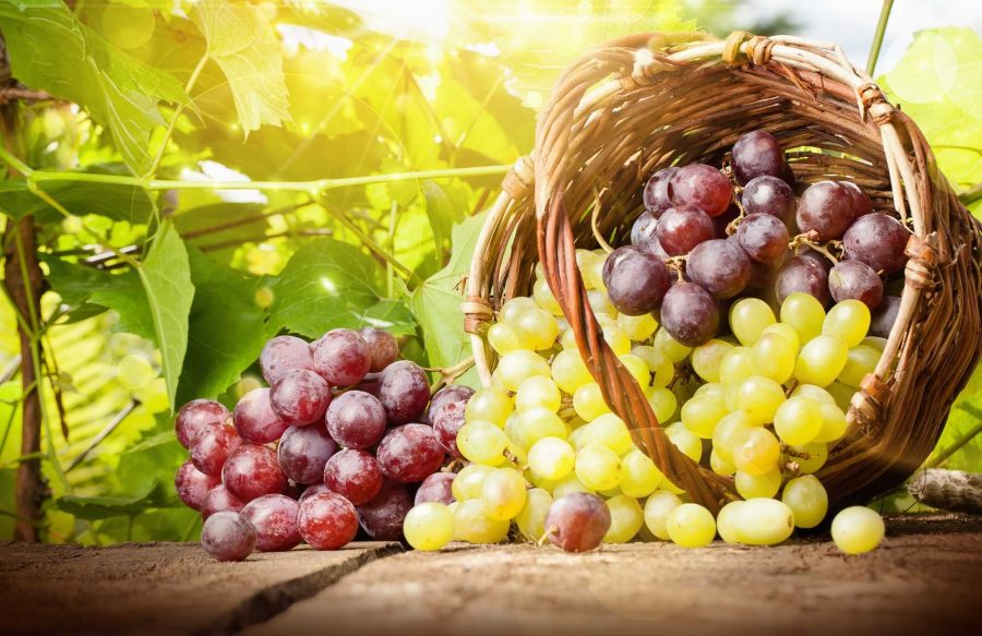 What’s the Perfect Grape and How is Grape QC Connected to Where your Buyers Live?