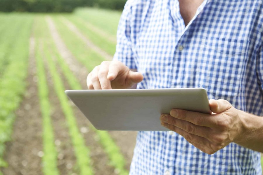 How new QC technology is revolutionizing logistics in the produce industry